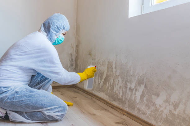 Hvac And Air Duct Mold Remediation inspection of HVAC system in Nutley