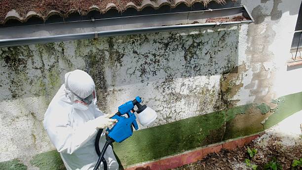 Mold Remediation service in Nutley, Nutley, NJ
